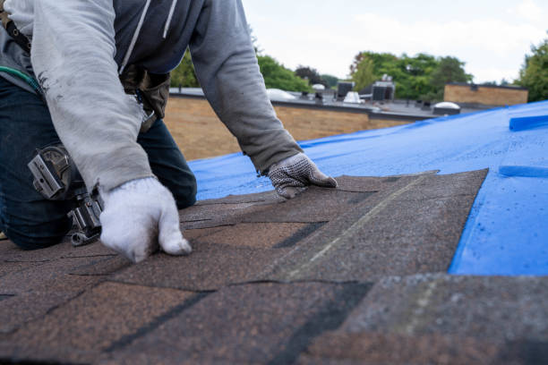 Quick and Trustworthy Emergency Roof Repair Services in Glendale, AZ